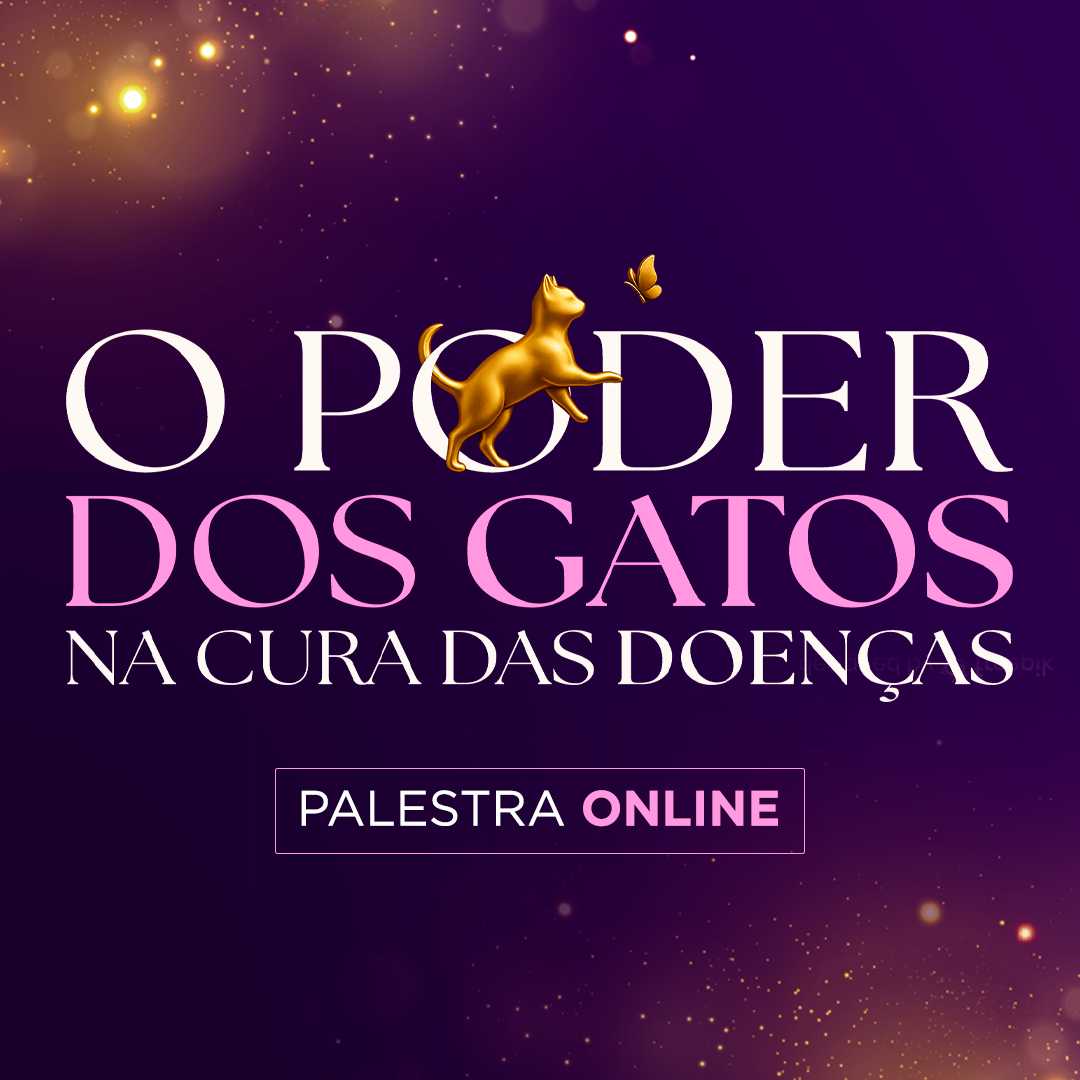 🐱✨ Gravação da Palestra | O Poder dos Gatos com Cristina Cairo ✨🐱